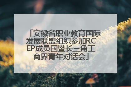 安徽省职业教育国际发展联盟组织参加RCEP成员国暨长三角工商界青年对话会