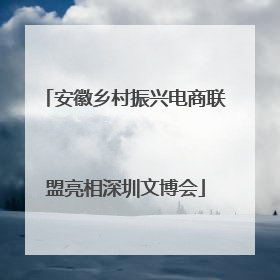 安徽乡村振兴电商联盟亮相深圳文博会