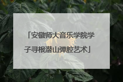 安徽师大音乐学院学子寻根潜山弹腔艺术