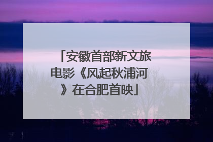 安徽首部新文旅电影《风起秋浦河》在合肥首映