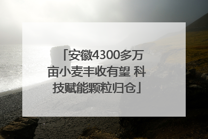 安徽4300多万亩小麦丰收有望 科技赋能颗粒归仓