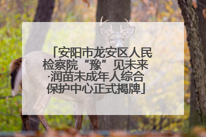 安阳市龙安区人民检察院“豫”见未来·润苗未成年人综合保护中心正式揭牌
