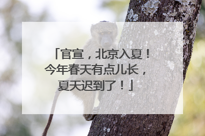 官宣，北京入夏！今年春天有点儿长，夏天迟到了！