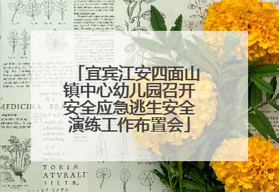 宜宾江安四面山镇中心幼儿园召开安全应急逃生安全演练工作布置会