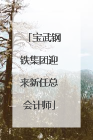 宝武钢铁集团迎来新任总会计师