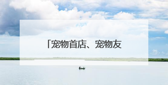 宠物首店、宠物友好商场、宠物航班……“它经济”激活普陀消费新潜能