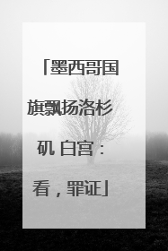 墨西哥国旗飘扬洛杉矶 白宫：看，罪证