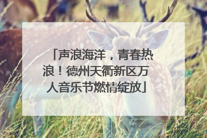 声浪海洋，青春热浪！德州天衢新区万人音乐节燃情绽放