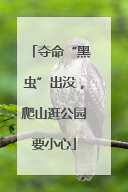 夺命“黑虫”出没，爬山逛公园要小心