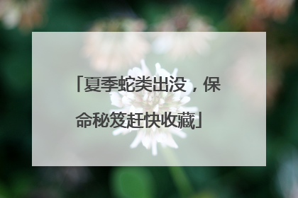 夏季蛇类出没，保命秘笈赶快收藏
