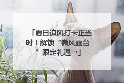 夏日追风打卡正当时！解锁“微风露台”限定礼遇→