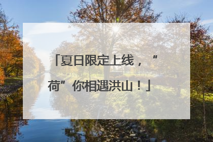 夏日限定上线，“荷”你相遇洪山！