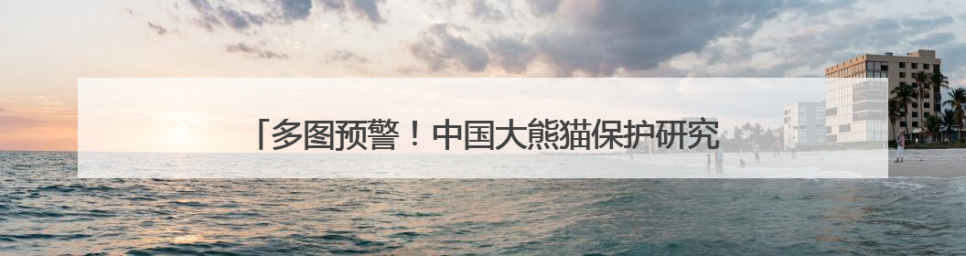 多图预警！中国大熊猫保护研究中心今年首只大熊猫幼崽诞生