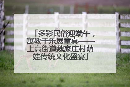 多彩民俗迎端午，寓教于乐展童真——上高街道魏家庄村萌娃传统文化盛宴