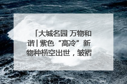 大城名园 万物和谐│紫色“高冷”新物种横空出世，皱褶叶片暗藏进化密码