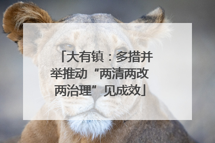 大有镇：多措并举推动“两清两改两治理”见成效