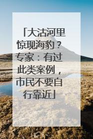 大沽河里惊现海豹？专家：有过此类案例，市民不要自行靠近