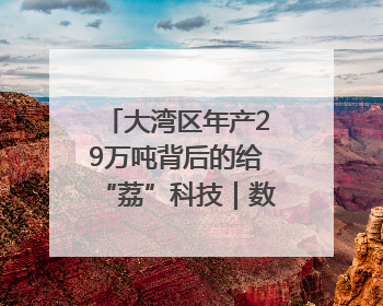 大湾区年产29万吨背后的给“荔”科技｜数说大湾区