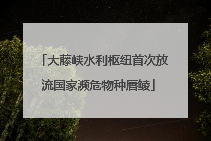大藤峡水利枢纽首次放流国家濒危物种唇鲮