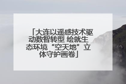 大连以遥感技术驱动数智转型 绘就生态环境“空天地”立体守护画卷