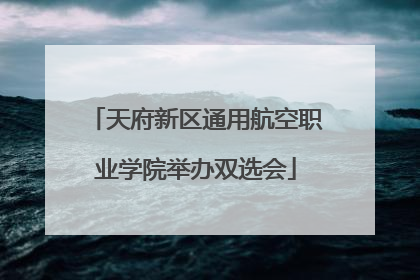 天府新区通用航空职业学院举办双选会