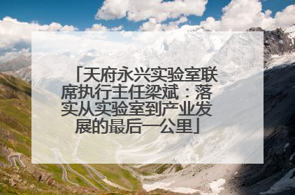 天府永兴实验室联席执行主任梁斌：落实从实验室到产业发展的最后一公里