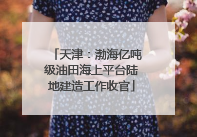 天津：渤海亿吨级油田海上平台陆地建造工作收官