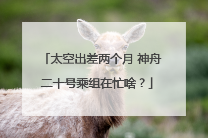 太空出差两个月 神舟二十号乘组在忙啥？