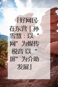 好网民·在东营｜孙雪慧：以“网”为媒传税音 以“屏”为介助发展