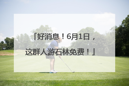 好消息！6月1日，这群人游石林免费！