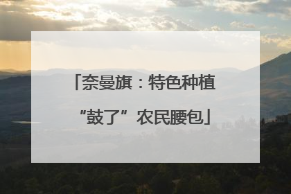 奈曼旗：特色种植“鼓了”农民腰包