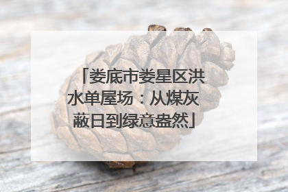 娄底市娄星区洪水单屋场：从煤灰蔽日到绿意盎然