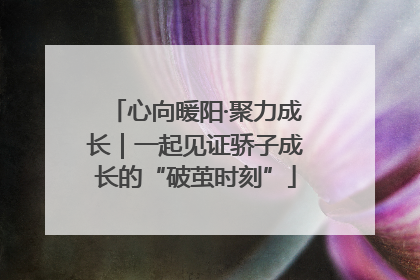 心向暖阳·聚力成长｜一起见证骄子成长的“破茧时刻”