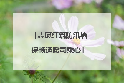 志愿红筑防汛墙 保畅通暖司乘心