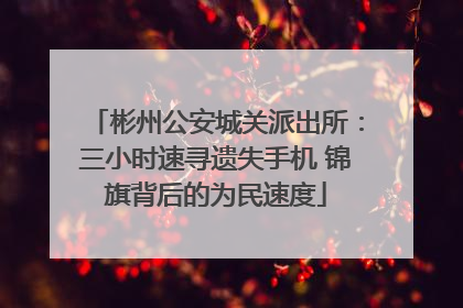 彬州公安城关派出所：三小时速寻遗失手机 锦旗背后的为民速度