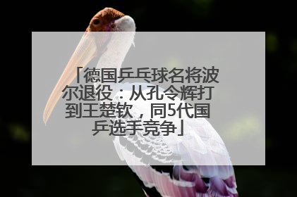 德国乒乓球名将波尔退役：从孔令辉打到王楚钦，同5代国乒选手竞争