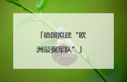 德国拟建“欧洲最强军队”