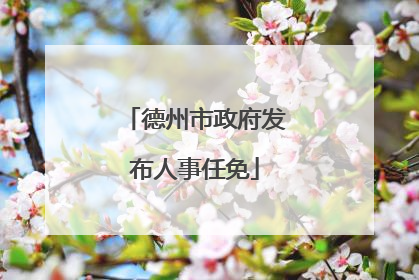 德州市政府发布人事任免