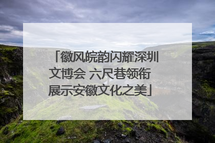 徽风皖韵闪耀深圳文博会 六尺巷领衔展示安徽文化之美