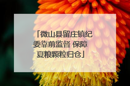 微山县留庄镇纪委靠前监督 保障夏粮颗粒归仓