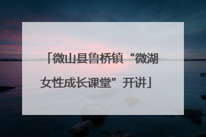 微山县鲁桥镇“微湖女性成长课堂”开讲