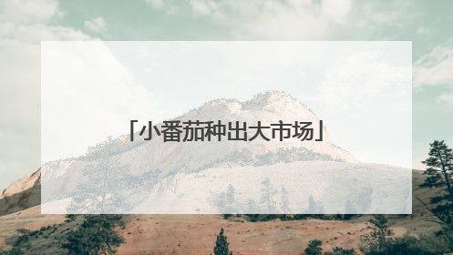 小番茄种出大市场