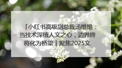 小红书高级副总裁汤维维：当技术深植人文之心，边界终将化为桥梁｜聚焦2025文化强国建设高峰论坛
