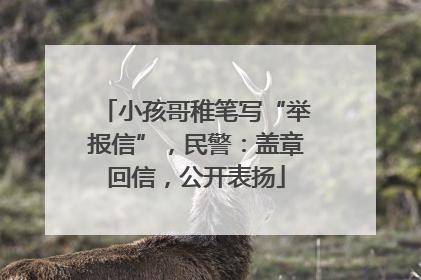 小孩哥稚笔写“举报信”，民警：盖章回信，公开表扬