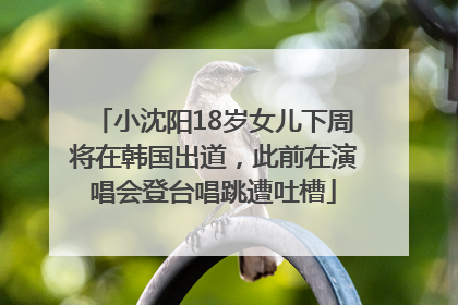 小沈阳18岁女儿下周将在韩国出道，此前在演唱会登台唱跳遭吐槽
