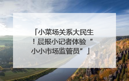 小菜场关系大民生！晨报小记者体验“小小市场监管员”