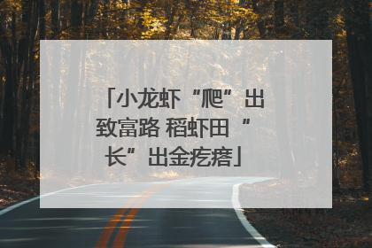 小龙虾“爬”出致富路 稻虾田“长”出金疙瘩