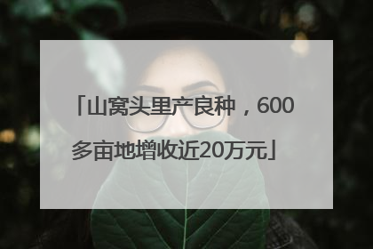 山窝头里产良种，600多亩地增收近20万元