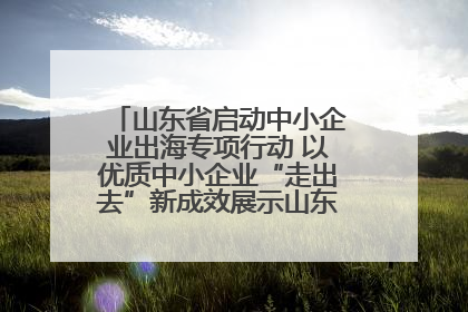 山东省启动中小企业出海专项行动 以优质中小企业“走出去”新成效展示山东产业发展新形象