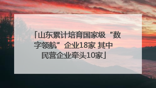 山东累计培育国家级“数字领航”企业18家 其中民营企业牵头10家